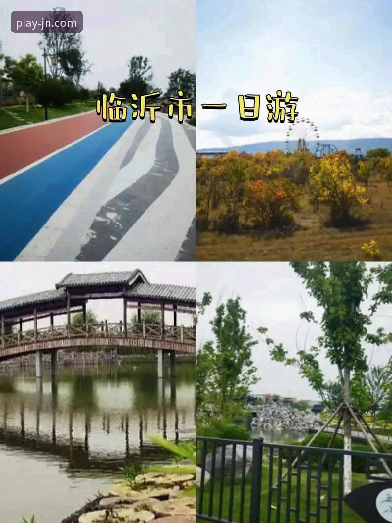 江南体育客户端 江南体育官方正版APP vs 第三方平台:体育爱好者该如何选择?
